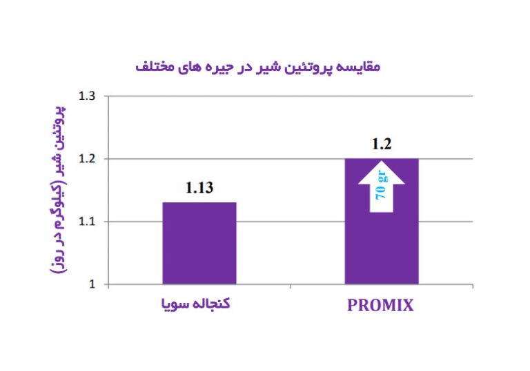 statistics03